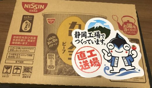 【ふるさと納税】「静岡県焼津市」からカレーメシ/ハヤシメシが届きました