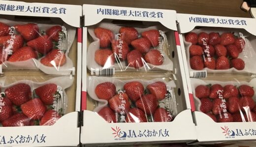 【ふるさと納税】「福岡県鞍手町」からあまおうイチゴが届きました