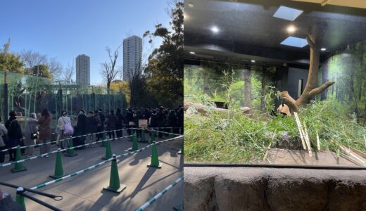 【返還前】上野動物園で「シャオシャオ＆レイレイ」を観てきた（3回目）